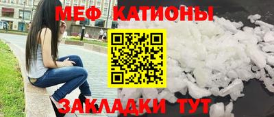 индика Кингисепп