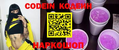 индика Кингисепп