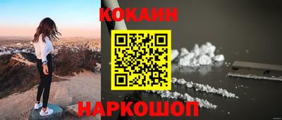индика Кингисепп
