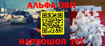 индика Кингисепп