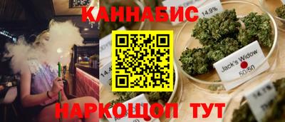 индика Кингисепп