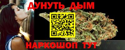 индика Кингисепп