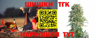 индика Кингисепп