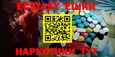 индика Кингисепп