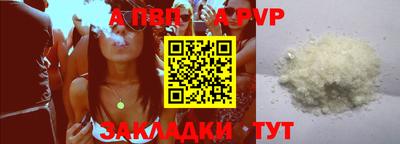 индика Кингисепп