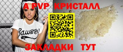 индика Кингисепп