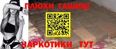 индика Кингисепп