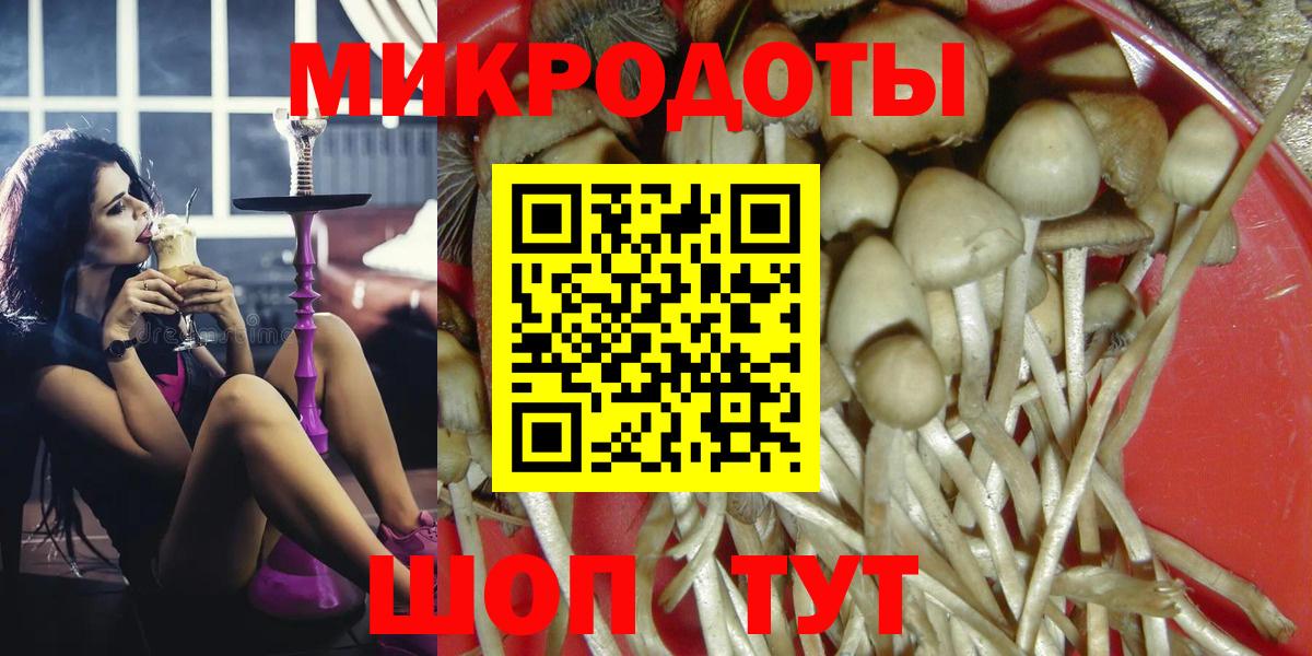 Кропоткин  Галлюциногенные грибы мухоморы  Вход с VPN 