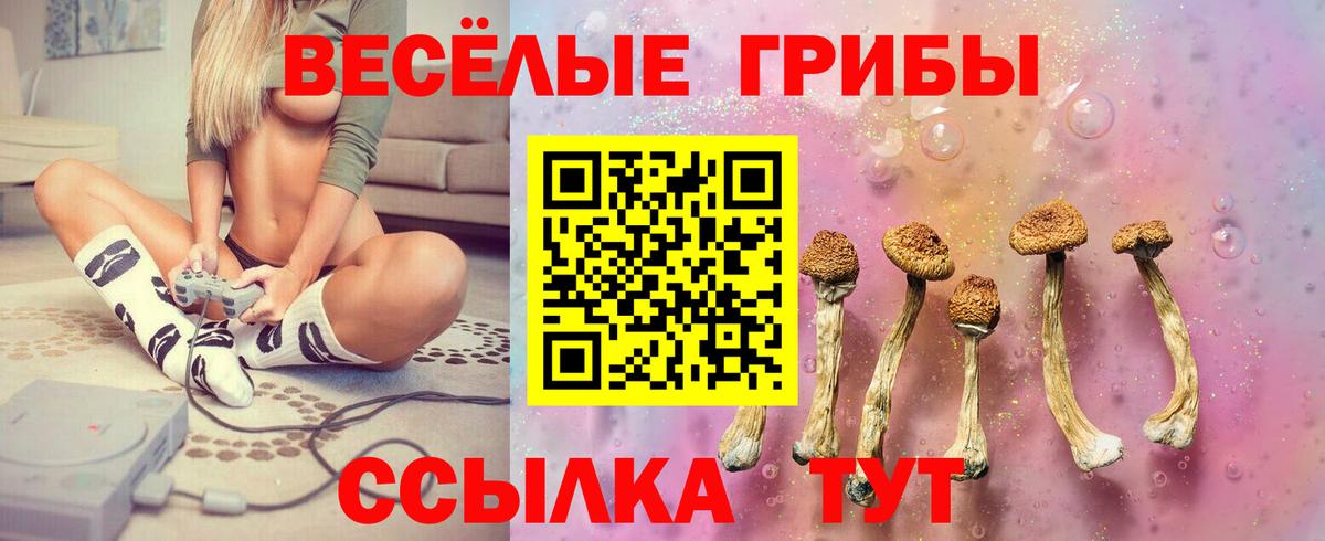 Галлюциногенные грибы GOLDEN TEACHER  Кропоткин  Псилоцибиновые грибы прущие грибы 